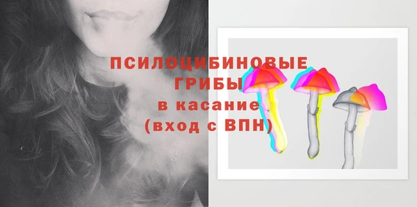 скорость Вяземский