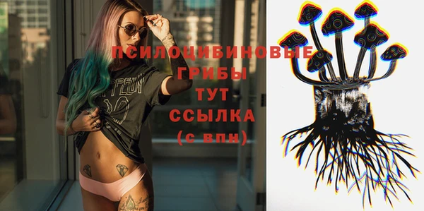 скорость Вяземский