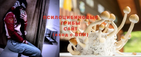 скорость Вяземский