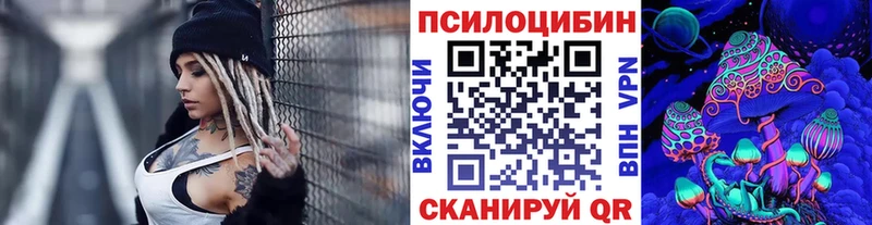 Галлюциногенные грибы Cubensis  где купить наркоту  Канск 